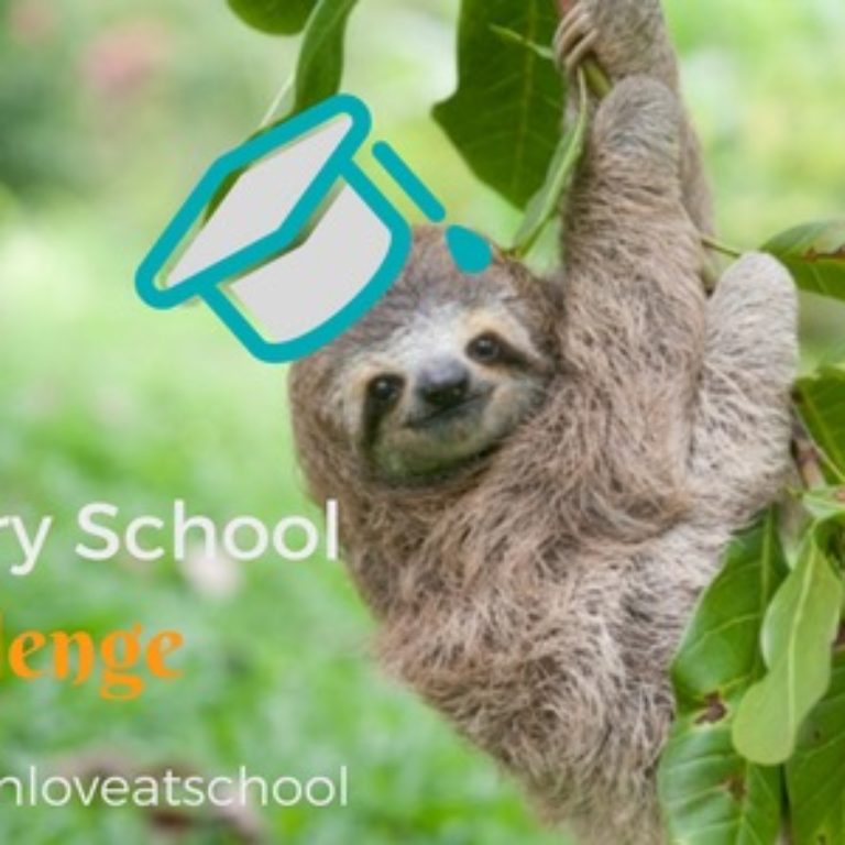 2016 Elementary School Sloth Challenge