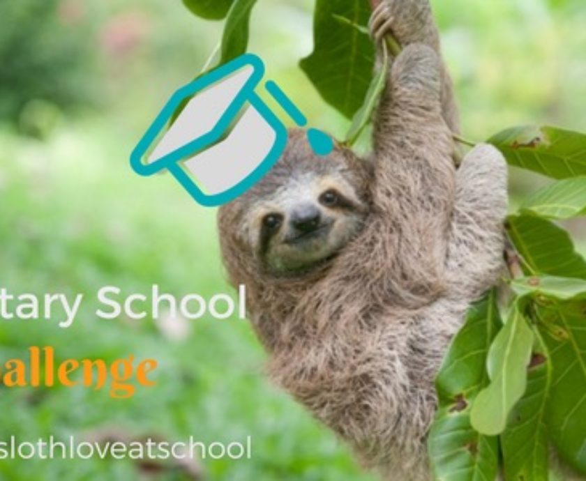 2016 Elementary School Sloth Challenge