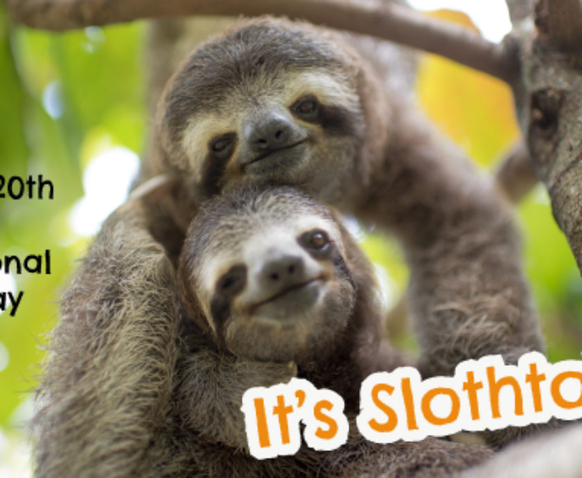 Slothtober