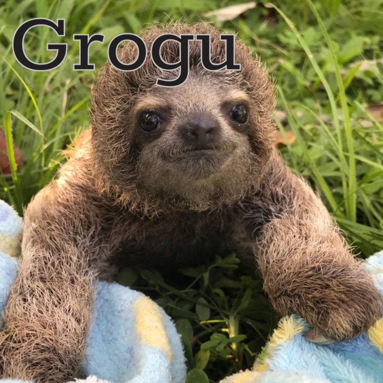 Grogu